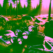 stirnlampen-vergleich-4-modelle-fuer-familie-trailrunning-bergtouren